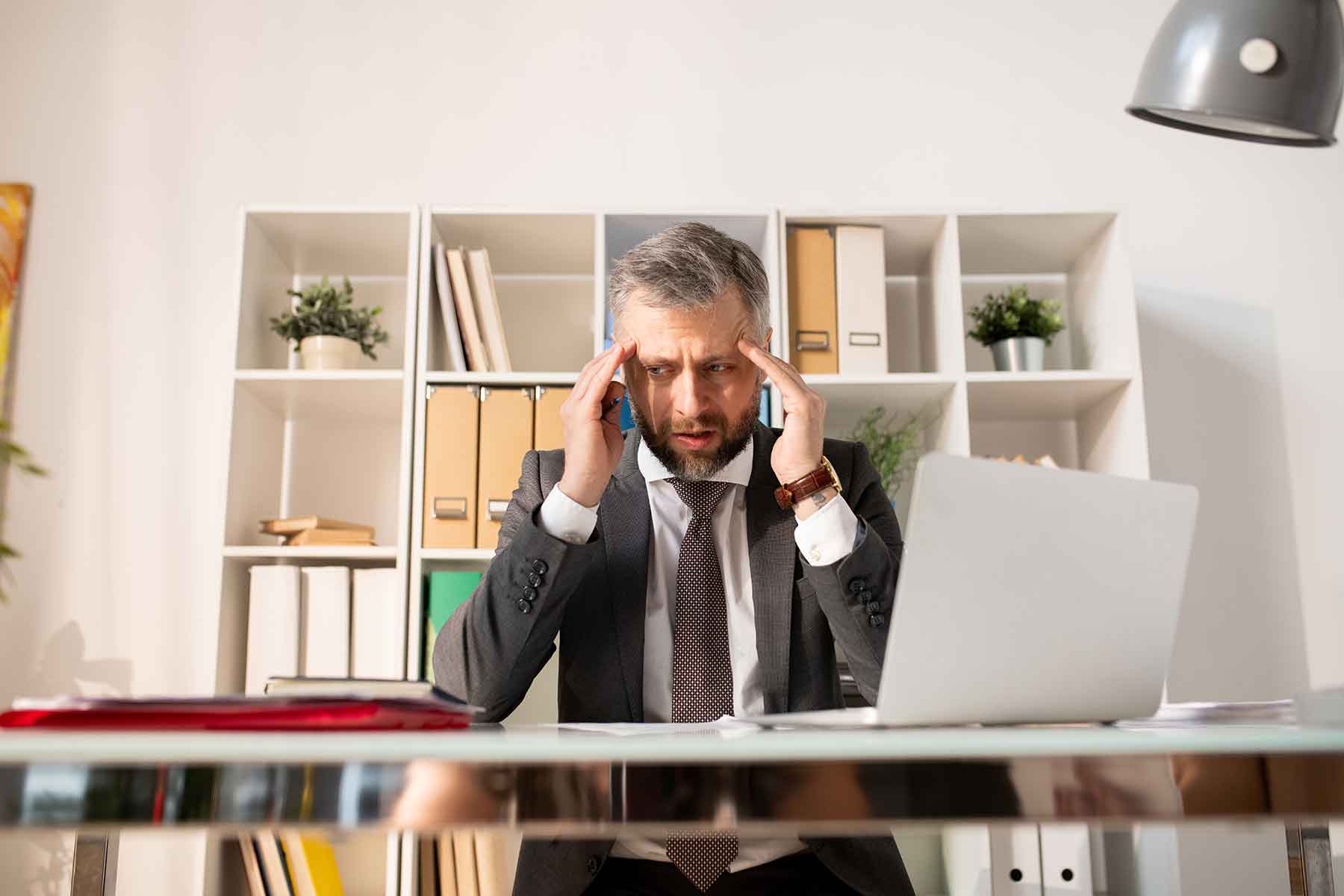 Tortor Egestas Aenean Nibh Purus